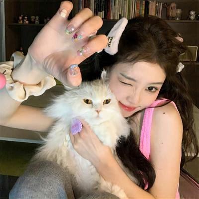 被炉、蜜桔和小猫