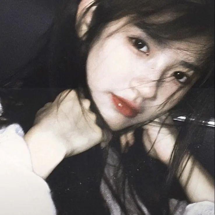 撒哈拉狮王救援